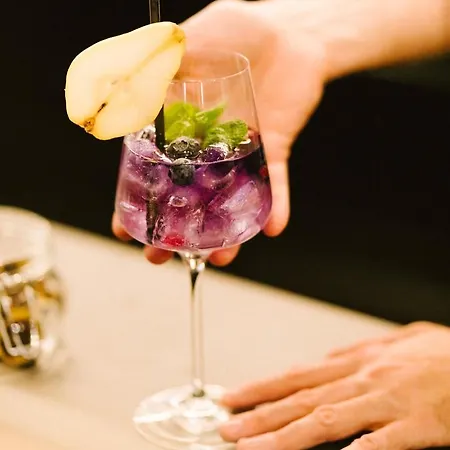 Aparthotel Venediger