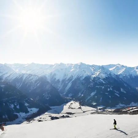 Lägenhetshotell Venediger 4*